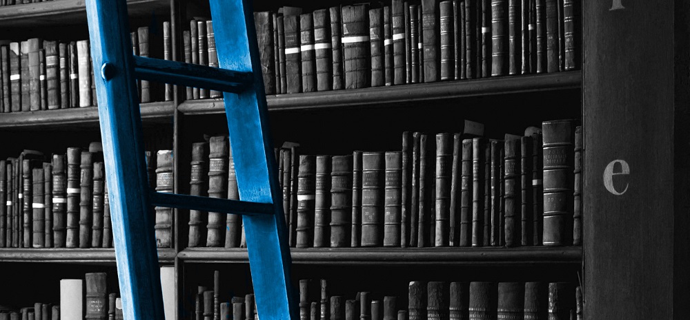 enrst b haas special issue